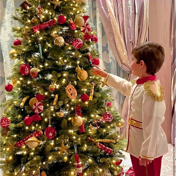 Maojia 200LEDs Fairy String Lights Outdoor, IP67 Waterproof 82FT Plugin Rope - Picture 7 of 7